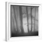 White Frame