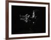 Billy Eckstine Playing the Flugelhorn at the Forum Theatre, Hatfield, Hertfordshire, 12 June 1980-Denis Williams-Framed Photographic Print