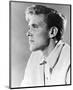 Billy Fury-null-Mounted Photo