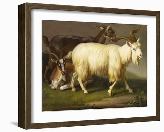 Billy Goats-Johan Wenzel Peter-Framed Giclee Print