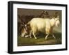 Billy Goats-Johan Wenzel Peter-Framed Giclee Print