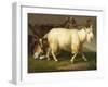 Billy Goats-Johan Wenzel Peter-Framed Giclee Print