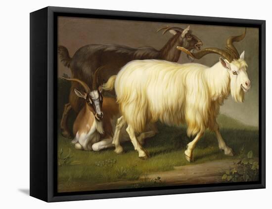 Billy Goats-Johan Wenzel Peter-Framed Stretched Canvas