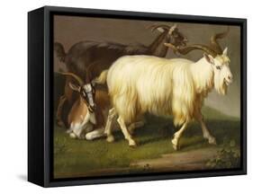 Billy Goats-Johan Wenzel Peter-Framed Stretched Canvas