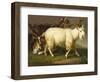 Billy Goats-Johan Wenzel Peter-Framed Giclee Print