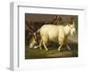 Billy Goats-Johan Wenzel Peter-Framed Giclee Print