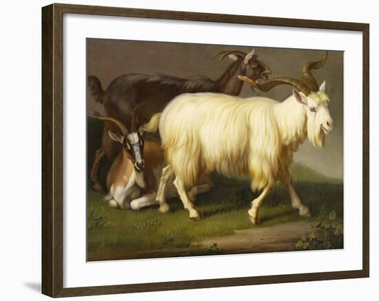 Billy Goats-Johan Wenzel Peter-Framed Giclee Print