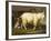 Billy Goats-Johan Wenzel Peter-Framed Giclee Print