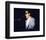 Billy Joel-null-Framed Photo