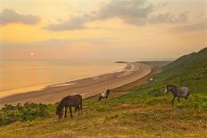 Rhossili Bay, Worms End, Gower Peninsula, Wales, United Kingdom, Europe-Billy-Photographic Print