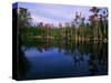 Billy's Lake-James Randklev-Stretched Canvas