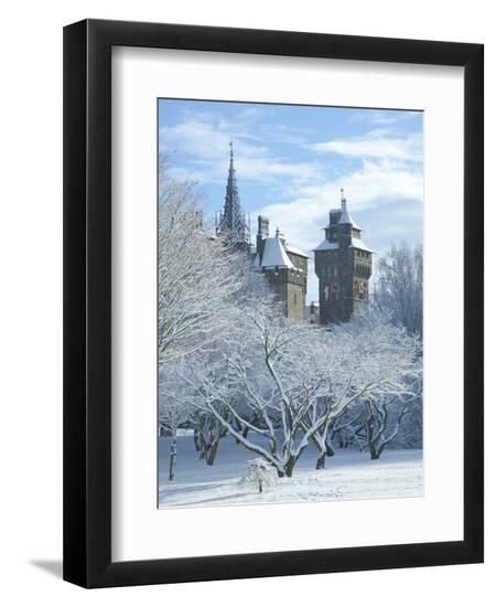 Premium Photographic Print, , large