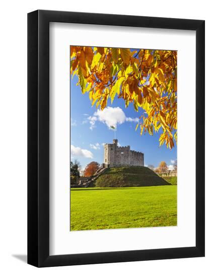Premium Photographic Print, , large