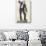 Billy Sunday-null-Photographic Print displayed on a wall