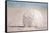 Biloxi, Mississippi - Sand Dollar and Beach-Lantern Press-Framed Stretched Canvas