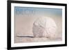 Biloxi, Mississippi - Sand Dollar and Beach-Lantern Press-Framed Art Print