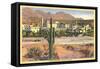 Biltmore Hotel, Phoenix, Arizona-null-Framed Stretched Canvas