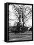 Bilton Market Cross-null-Framed Stretched Canvas