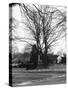 Bilton Market Cross-null-Stretched Canvas