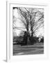 Bilton Market Cross-null-Framed Photographic Print