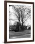 Bilton Market Cross-null-Framed Photographic Print