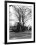 Bilton Market Cross-null-Framed Photographic Print