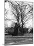 Bilton Market Cross-null-Mounted Photographic Print