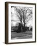 Bilton Market Cross-null-Framed Photographic Print