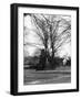 Bilton Market Cross-null-Framed Photographic Print