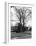 Bilton Market Cross-null-Framed Photographic Print