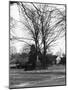 Bilton Market Cross-null-Mounted Photographic Print