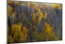 Wood Mount