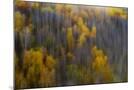 Wood Mount