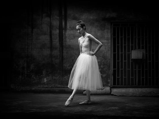 Premium Photographic Print, , large