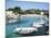 Binisafuller, Menorca, Balearic Islands, Spain, Mediterranean-J Lightfoot-Mounted Photographic Print