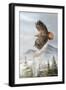 Binking in Flight-Trevor V. Swanson-Framed Giclee Print