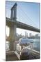 Binoculars facing the Manhattan Bridge, Brooklyn Bridge Park, New York City, New York-Greg Probst-Mounted Photographic Print