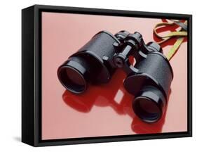 Binoculars with Reflection-null-Framed Stretched Canvas