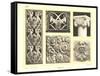 Binquet Bas Reliefs-null-Framed Stretched Canvas