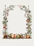 Hand Drawn Botanical Frame-Biodiversity Heritage Library-Giclee Print