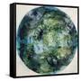 Bioengineering-Kari Taylor-Framed Stretched Canvas