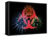 Biohazard Symbol And Viruses-Laguna Design-Framed Stretched Canvas