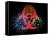 Biohazard Symbol And Viruses-Laguna Design-Framed Stretched Canvas