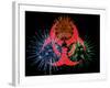 Biohazard Symbol And Viruses-Laguna Design-Framed Photographic Print