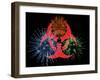 Biohazard Symbol And Viruses-Laguna Design-Framed Photographic Print