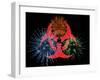 Biohazard Symbol And Viruses-Laguna Design-Framed Photographic Print