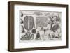 Biological Illustrations, 17th Century-Middle Temple Library-Framed Photographic Print