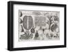 Biological Illustrations, 17th Century-Middle Temple Library-Framed Photographic Print