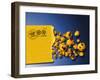 Biological Terrorism-Victor Habbick-Framed Photographic Print