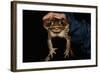 Biologist Holding a Giant Marine Toad-W. Perry Conway-Framed Photographic Print